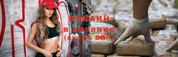ПСИЛОЦИБИНОВЫЕ ГРИБЫ Вязники