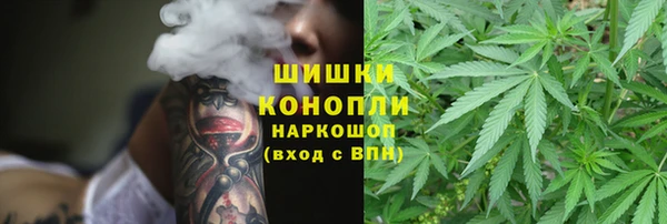 ПСИЛОЦИБИНОВЫЕ ГРИБЫ Вязники