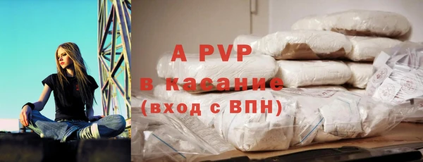 ПСИЛОЦИБИНОВЫЕ ГРИБЫ Вязники