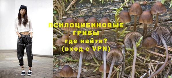 ПСИЛОЦИБИНОВЫЕ ГРИБЫ Вязники