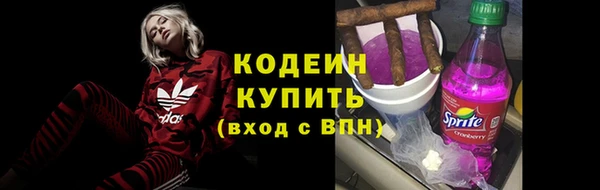 ПСИЛОЦИБИНОВЫЕ ГРИБЫ Вязники