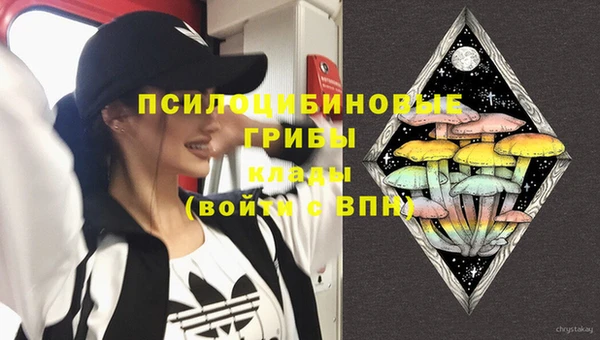 таблы Вяземский
