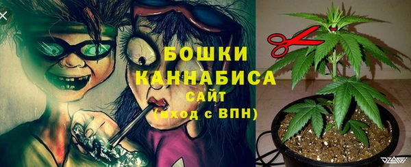 таблы Вяземский